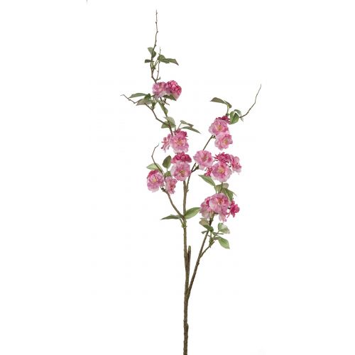 Ветка яблони декоративная