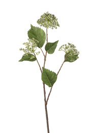 Ветка аллиума декоративная