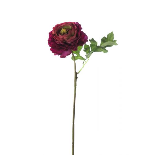 Ранункулюс мини цвета бургунди декоративный